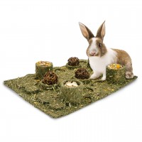 JR FARM Parco divertimenti XXL 'Back to Instinct' 430 gr